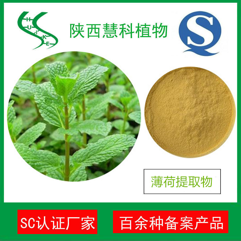 薄荷提取物20:1 天然薄荷粉 QS認證 產(chǎn)地直銷