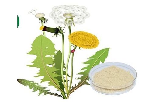 植物提取物加盟 費用構(gòu)成、盈利前景與開店成本解析