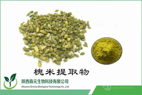 槐米提取物 純天然植物提取物價(jià)格解析與廠家直供優(yōu)勢(shì)