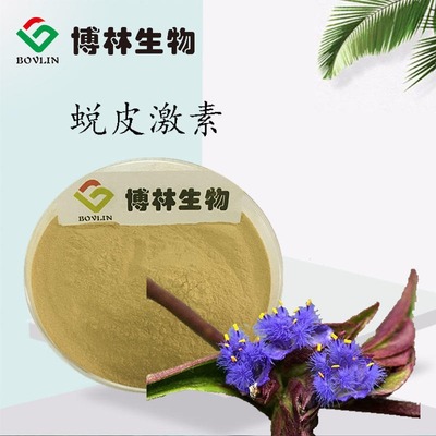 蛻皮激素的天然寶庫(kù) 露水草提取物及其應(yīng)用價(jià)值